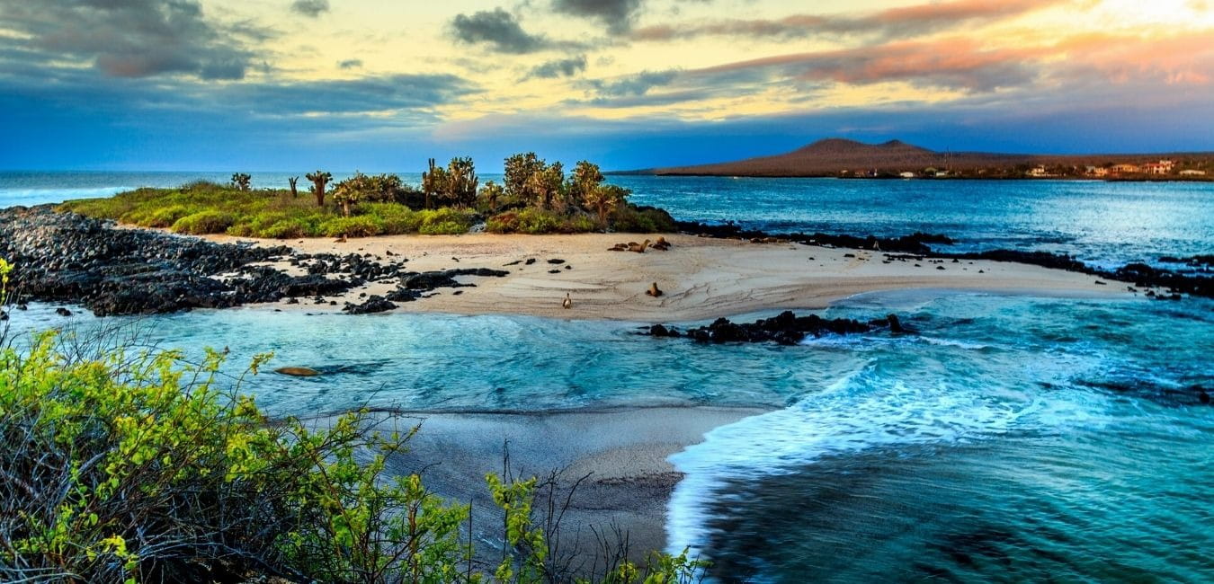 What is the cost of a luxury Galapagos cruise?